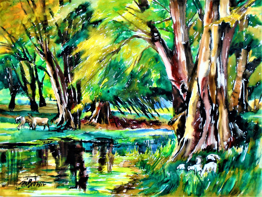 Serenity's Haven